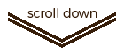 scroll-down